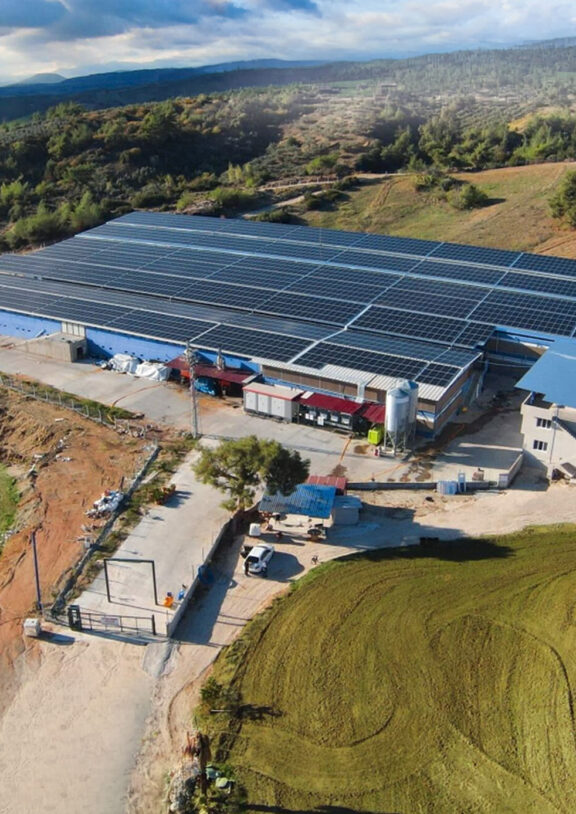 We grow fresh, organic produce using clean methods that protect nature, healthy food.